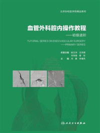 血管外科腔内操作教程:初级进阶/刘暴