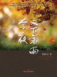 今夜又下着雨/赵振元