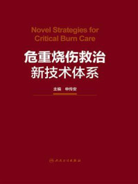 危重烧伤救治新技术体系/申传安
