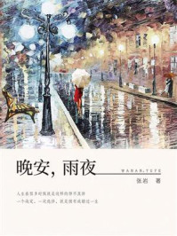 晚安，雨夜/张岩