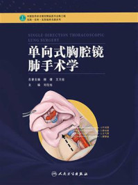 单向式胸腔镜肺手术学/刘伦旭