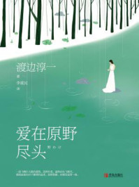 爱在原野尽头/渡边淳一