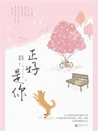 正好是你/江天雪意