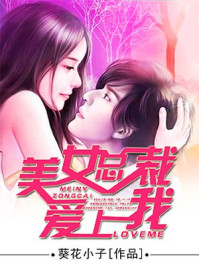 美女总裁爱上我/葵花小子