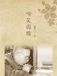 啼笑因缘/张恨水