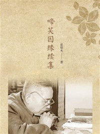 啼笑因缘续集/张恨水