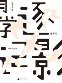 逐影记：中篇小说集/胡学文