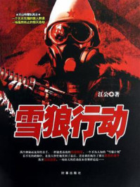 雪狼行动/江公