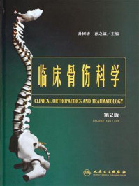 临床骨伤科学(第2版)/孙树椿