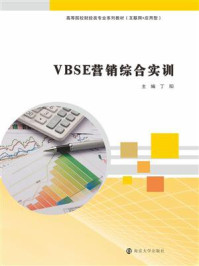 VBSE营销综合实训/丁阳