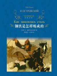 钢铁是怎样炼成的（经典译林）/[俄罗斯]尼·奥斯特洛夫斯基