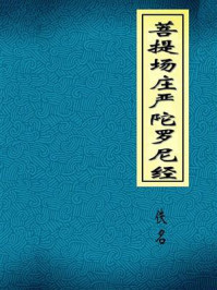 菩提场庄严陀罗尼经/三藏沙门不空奉