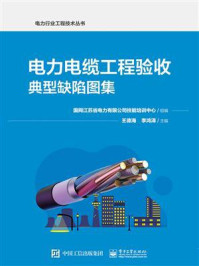 电力电缆工程验收典型缺陷图集/国网江苏省电力有限公司技能培训中心