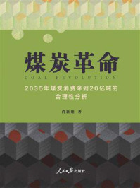 煤炭革命/肖新建