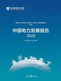 中国电力发展报告 2020/电力规划设计总院