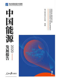 中国能源发展报告 2020/电力规划设计总院