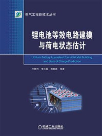 锂电池等效电路建模与荷电状态估计/王顺利