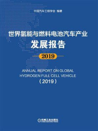世界氢能与燃料电池汽车产业发展报告 2019/中国汽车工程学会