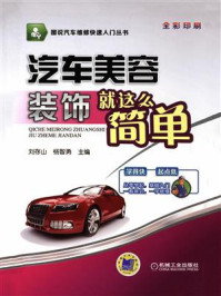 汽车美容装饰就这么简单/杨智勇