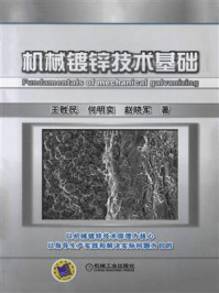 机械镀锌技术基础/王胜民