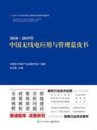 2018—2019年中国无线电应用与管理蓝皮书/中国电子信息产业发展研究院