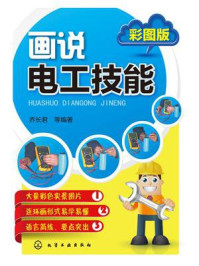 画说电工技能/乔长君