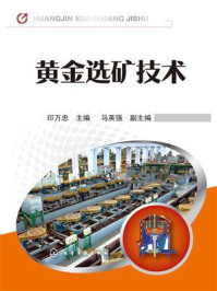 黄金选矿技术/印万忠