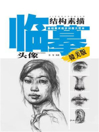 素描头像.结构/徐智