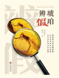 琥珀辨假/李海波