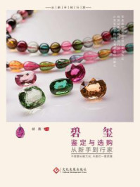 碧玺鉴定与选购从新手到行家/胡葳