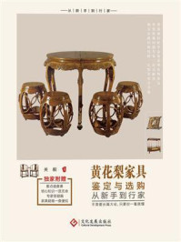 黄花梨家具鉴定与选购从新手到行家/关毅