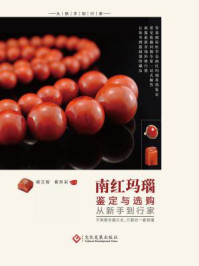 南红玛瑙鉴定与选购从新手到行家/崔文智