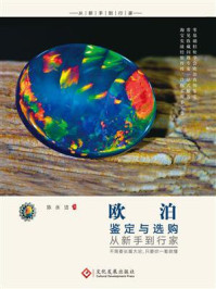 欧泊鉴定与选购从新手到行家/陈永洁