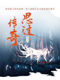 思过传奇/从容小主
