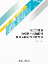 珠江三角洲典型软土区域特性及地基稳定性评价研究/周晖