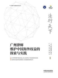 法行天下：广州律师维护中国海外权益的探索与实践/广州市律师协会