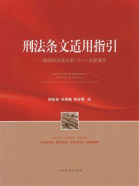 刑法条文适用指引：根据刑法修正案（十一）全新编写/时延安