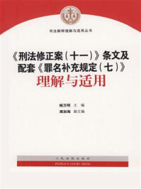 刑法修正案(十一)》条文及配套《罪名补充规定(七)理解与适用/杨万明