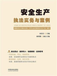 安全生产执法实务与案例/闪淳昌