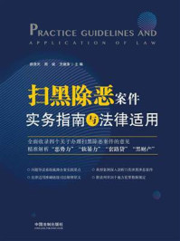 扫黑除恶案件实务指南与法律适用/路浩天