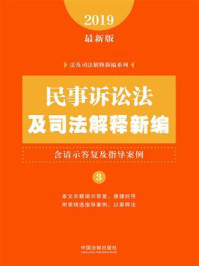 民事诉讼法及司法解释新编（含请示答复及指导案例）（2019年版）/中国法制出版社