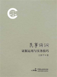 民事诉讼证据运用与实务技巧/王新平