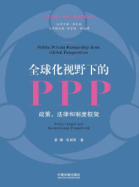 全球化视野下的PPP:政策、法律和制度框架/袁璨