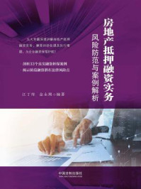 房地产抵押融资实务：风险防范与案例解析/江丁库