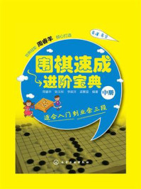 围棋速成进阶宝典（中册）/周睿羊