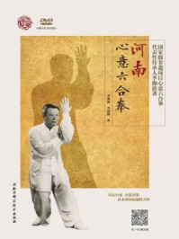 河南心意六合拳/李洳波