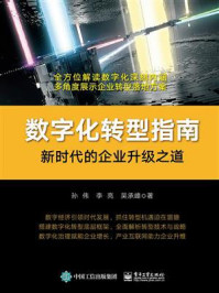 数字化转型指南：新时代的企业升级之道/孙伟