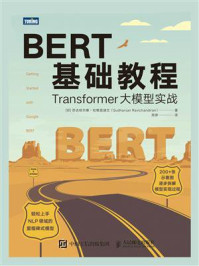 BERT基础教程：Transformer大模型实战/苏达哈尔桑·拉维昌迪兰