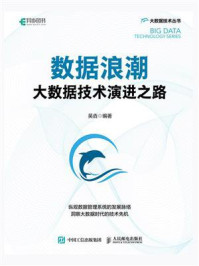 数据浪潮:大数据技术演进之路/吴垚