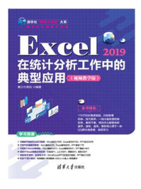 Excel 2019在统计分析工作中的典型应用(视频教学版)/赛贝尔资讯